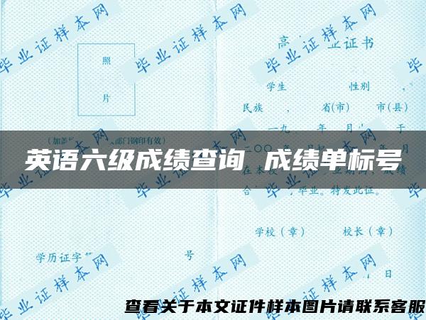 英语六级成绩查询 成绩单标号