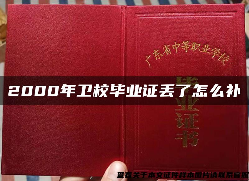 2000年卫校毕业证丢了怎么补