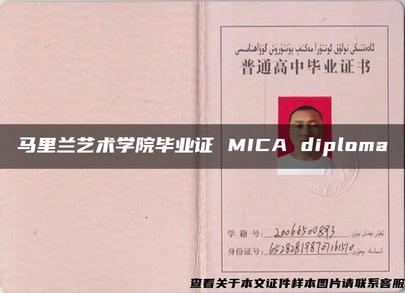 马里兰艺术学院毕业证 MICA diploma