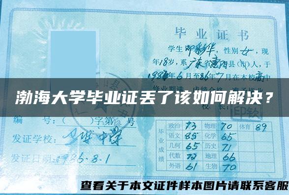 渤海大学毕业证丢了该如何解决？