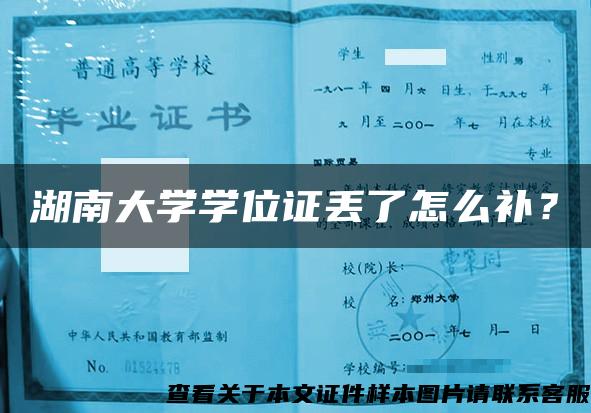 湖南大学学位证丢了怎么补？