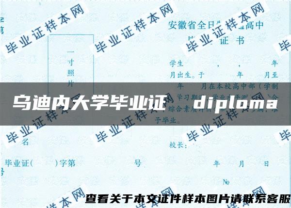 乌迪内大学毕业证  diploma