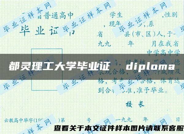 都灵理工大学毕业证  diploma