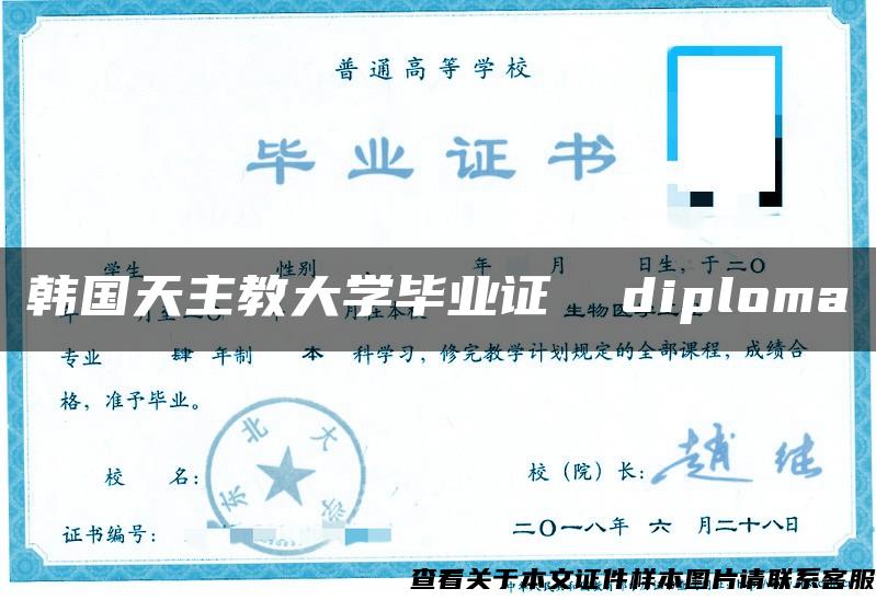 韩国天主教大学毕业证  diploma