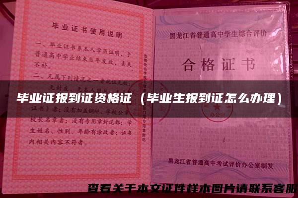 毕业证报到证资格证（毕业生报到证怎么办理）