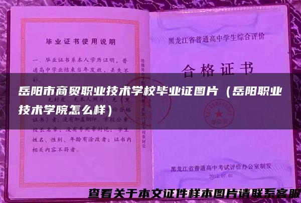 岳阳市商贸职业技术学校毕业证图片（岳阳职业技术学院怎么样）