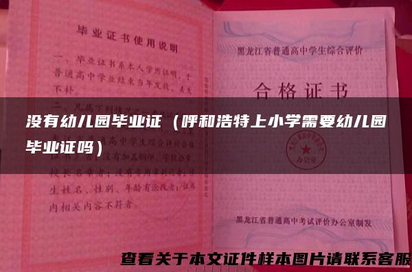 没有幼儿园毕业证（呼和浩特上小学需要幼儿园毕业证吗）