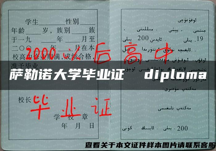 萨勒诺大学毕业证  diploma