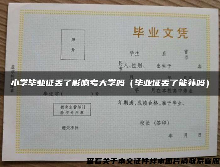 小学毕业证丢了影响考大学吗（毕业证丢了能补吗）