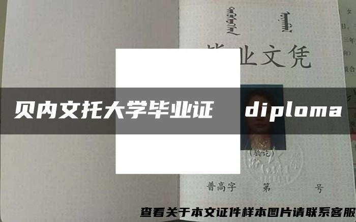 贝内文托大学毕业证  diploma