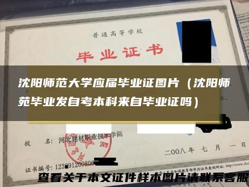 沈阳师范大学应届毕业证图片（沈阳师苑毕业发自考本科来自毕业证吗）