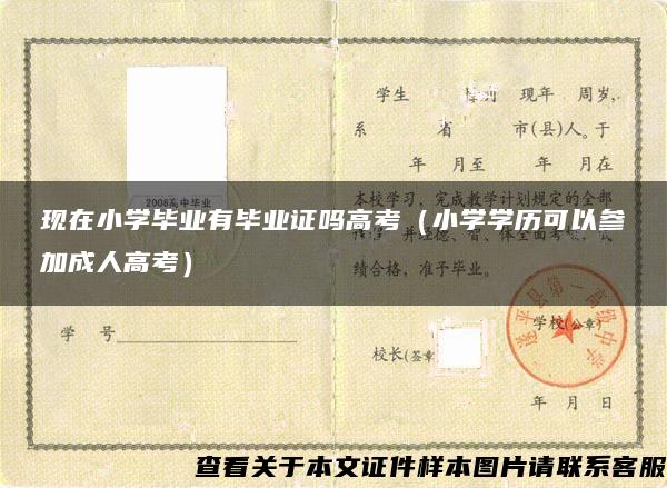 现在小学毕业有毕业证吗高考（小学学历可以参加成人高考）