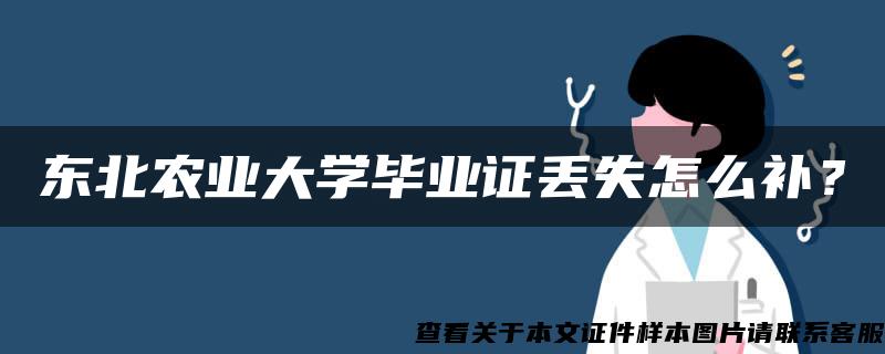 东北农业大学毕业证丢失怎么补？