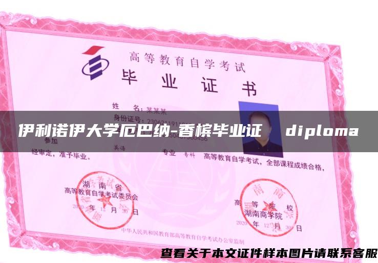 伊利诺伊大学厄巴纳-香槟毕业证  diploma