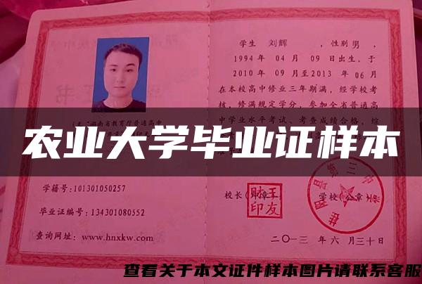 农业大学毕业证样本