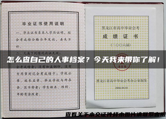 怎么查自己的人事档案？今天我来带你了解！