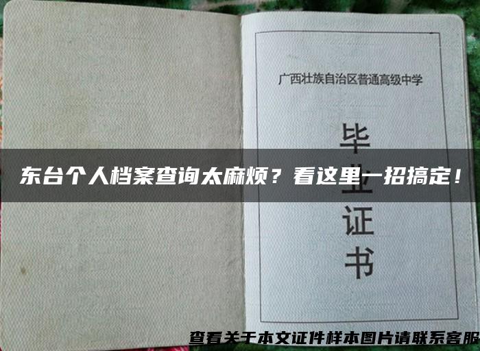 东台个人档案查询太麻烦？看这里一招搞定！