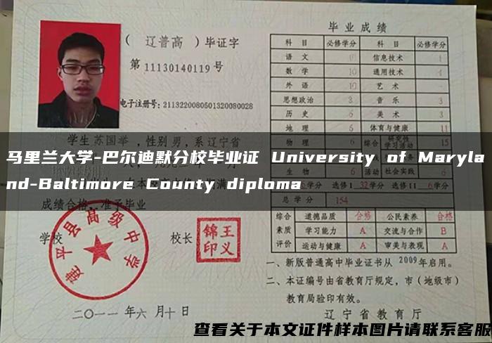 马里兰大学-巴尔迪默分校毕业证 University of Maryland-Baltimore County diploma