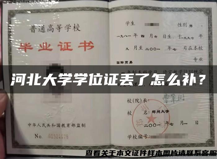 河北大学学位证丢了怎么补？