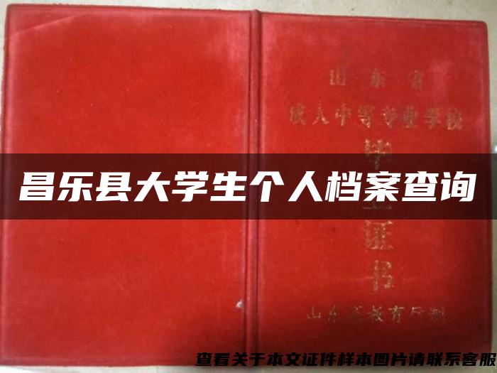 昌乐县大学生个人档案查询