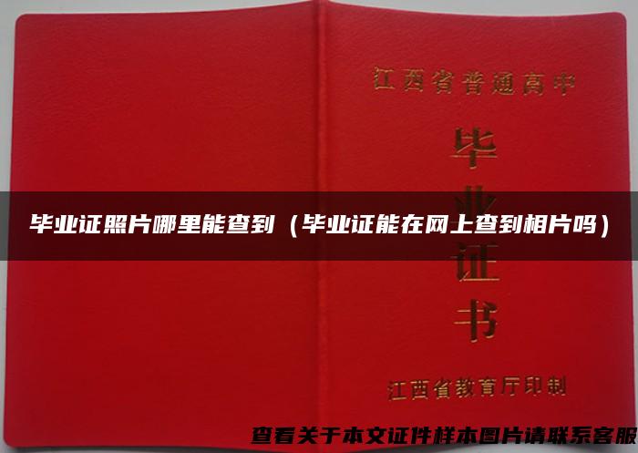 毕业证照片哪里能查到（毕业证能在网上查到相片吗）