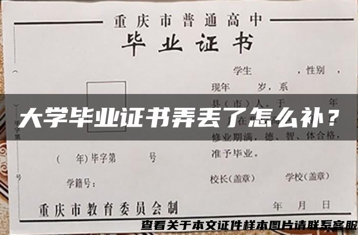 大学毕业证书弄丢了怎么补？