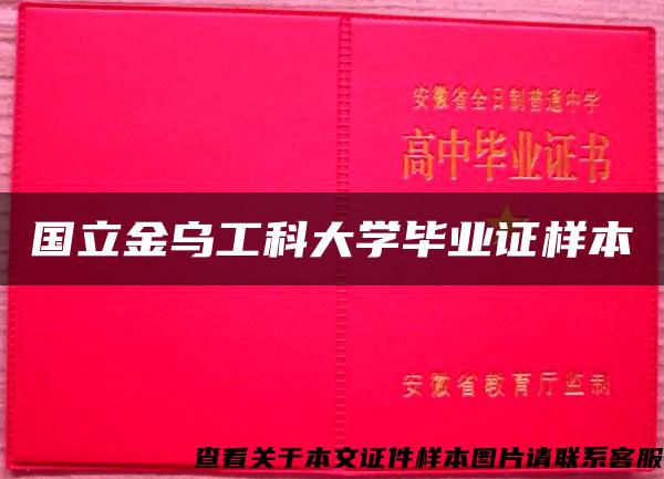 国立金乌工科大学毕业证样本