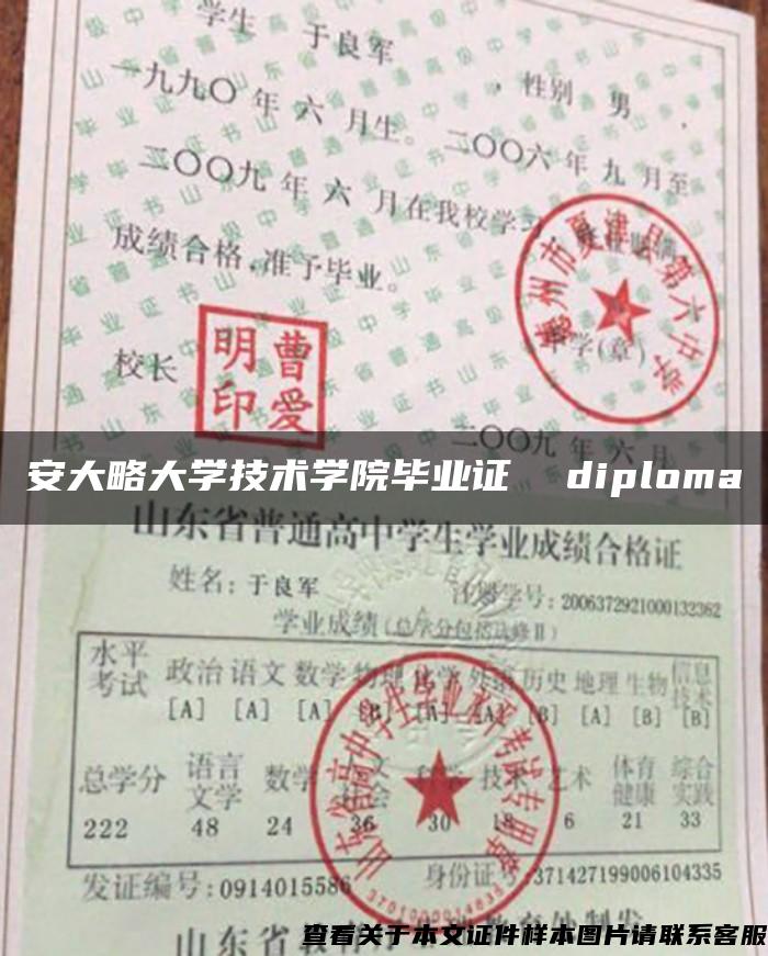 安大略大学技术学院毕业证  diploma