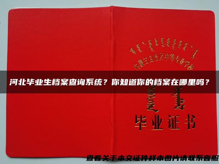 河北毕业生档案查询系统？你知道你的档案在哪里吗？