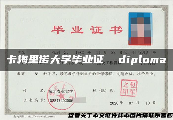 卡梅里诺大学毕业证  diploma