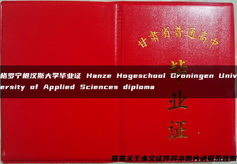 格罗宁根汉斯大学毕业证 Hanze Hogeschool Groningen University of Applied Sciences diploma