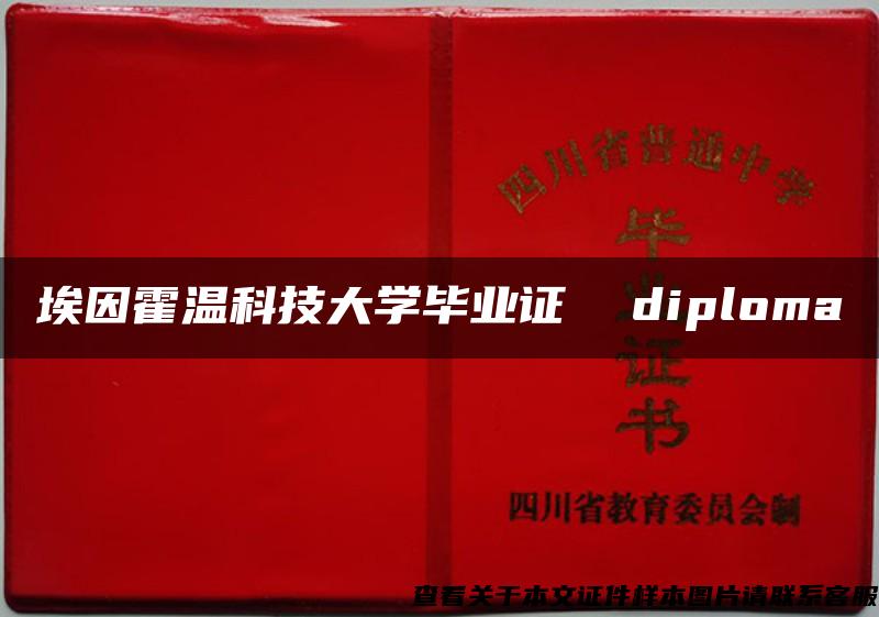 埃因霍温科技大学毕业证  diploma