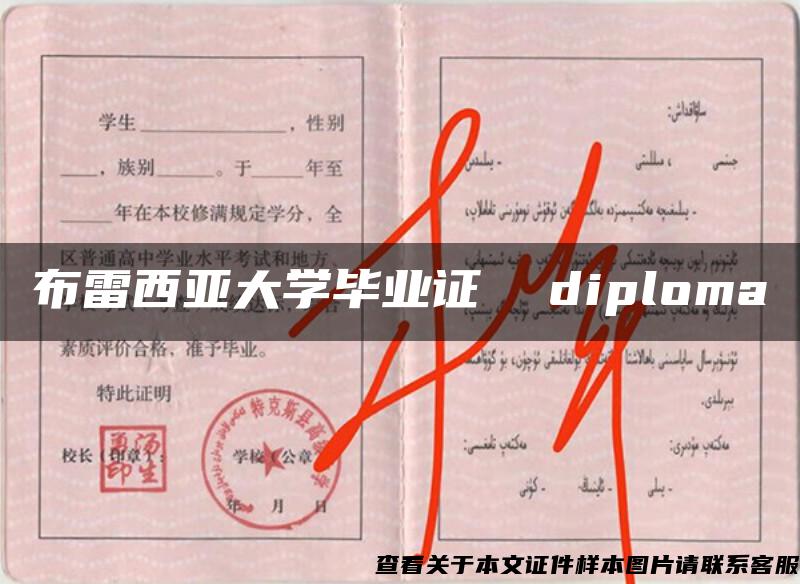 布雷西亚大学毕业证  diploma