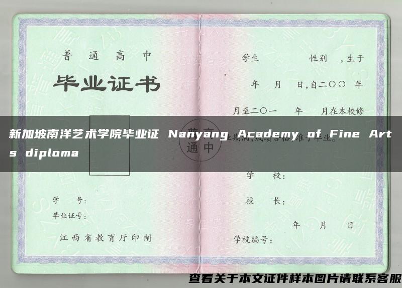 新加坡南洋艺术学院毕业证 Nanyang Academy of Fine Arts diploma