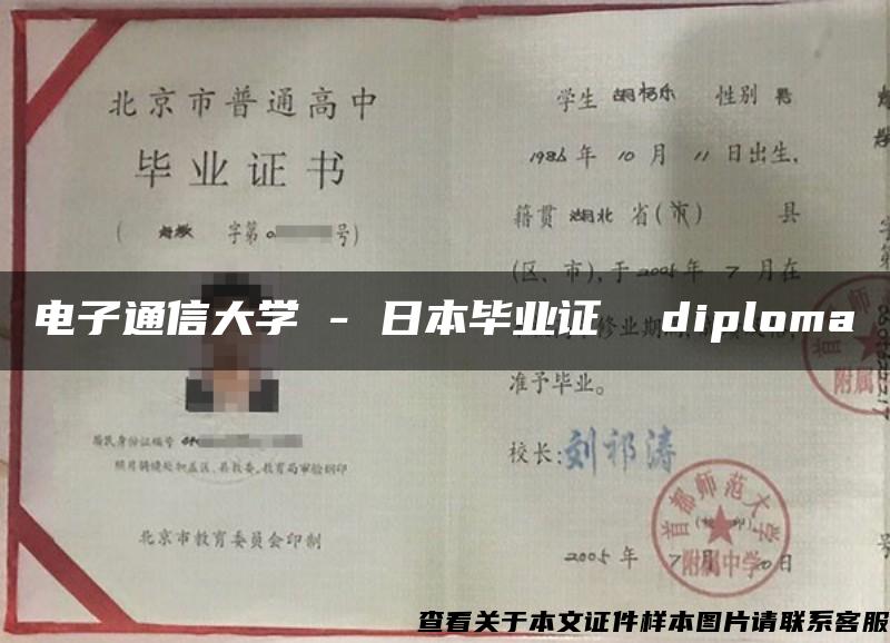 电子通信大学 - 日本毕业证  diploma