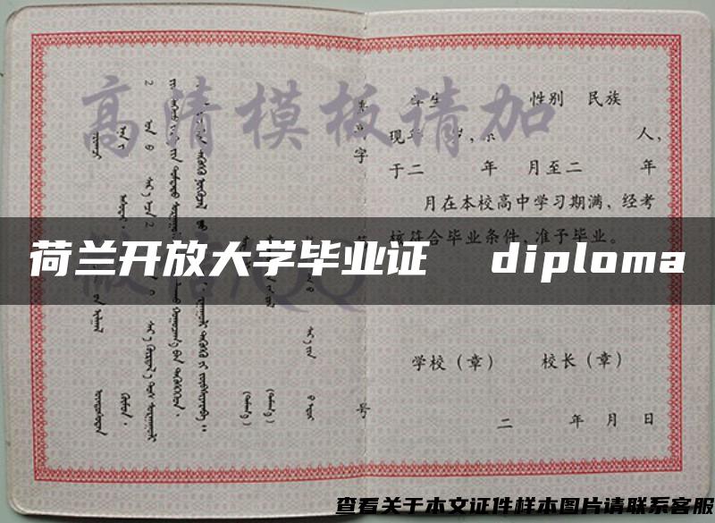 荷兰开放大学毕业证  diploma