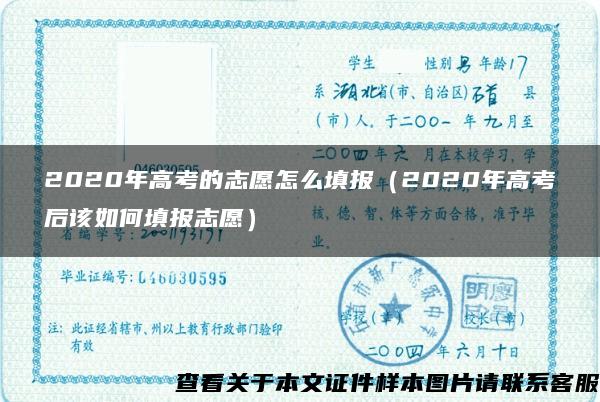 2020年高考的志愿怎么填报（2020年高考后该如何填报志愿）