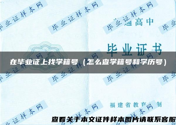 在毕业证上找学籍号（怎么查学籍号和学历号）