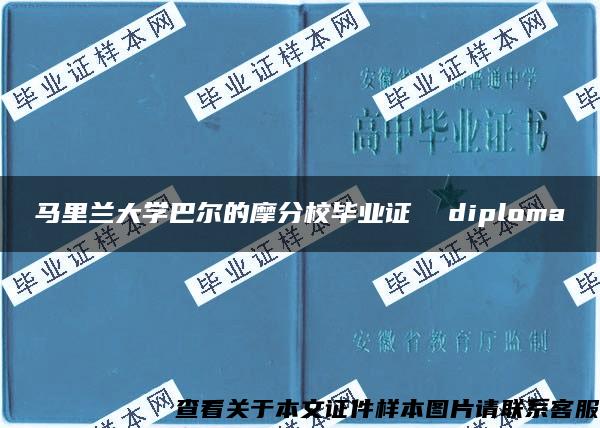 马里兰大学巴尔的摩分校毕业证  diploma