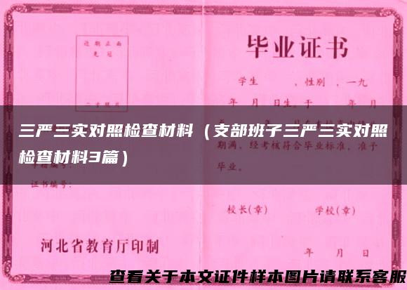 三严三实对照检查材料（支部班子三严三实对照检查材料3篇）