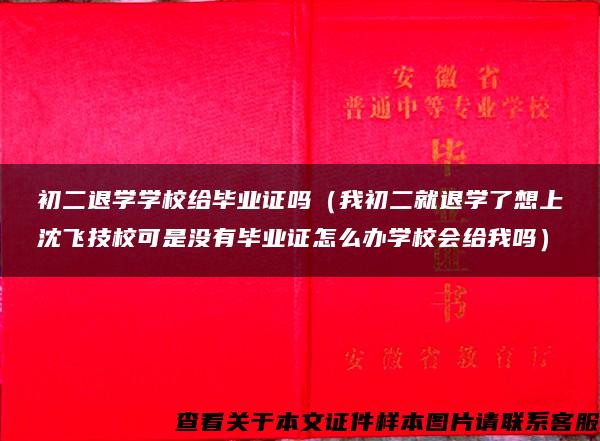 初二退学学校给毕业证吗（我初二就退学了想上沈飞技校可是没有毕业证怎么办学校会给我吗）