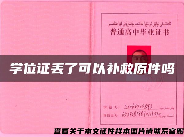 学位证丢了可以补救原件吗