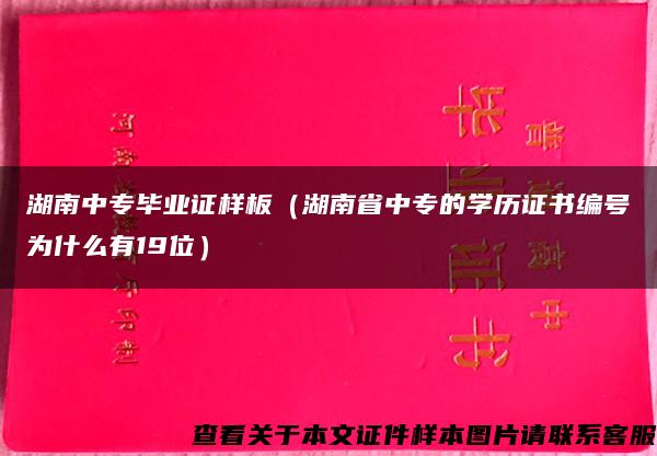 湖南中专毕业证样板（湖南省中专的学历证书编号为什么有19位）