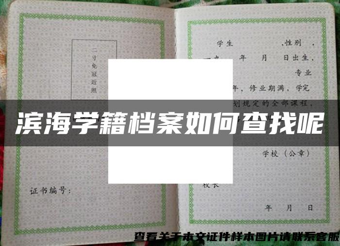 滨海学籍档案如何查找呢