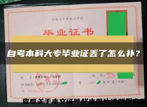 自考本科大专毕业证丢了怎么补？