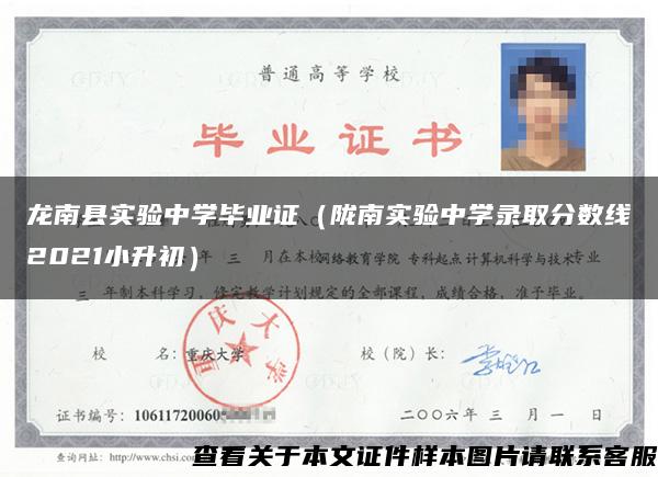 龙南县实验中学毕业证（陇南实验中学录取分数线2021小升初）