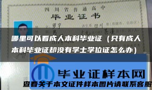 哪里可以看成人本科毕业证（只有成人本科毕业证却没有学士学位证怎么办）