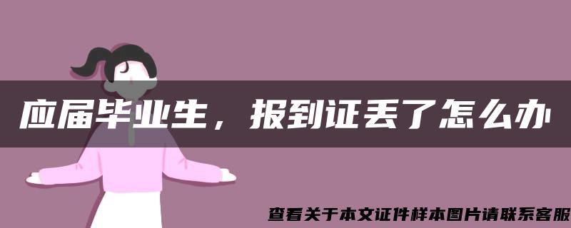 应届毕业生，报到证丢了怎么办