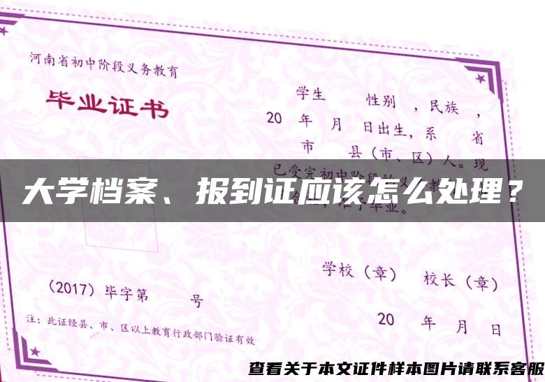 大学档案、报到证应该怎么处理？