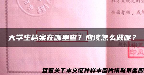 大学生档案在哪里查？应该怎么做呢？